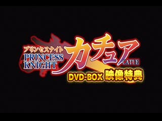 princess knight catue dvd-box special